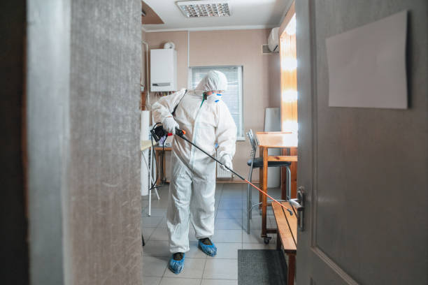 Best Environmental Consulting for Mold Prevention  in Plymouth Meeting, PA