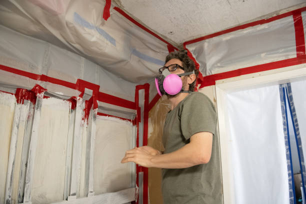 Best Basement Mold Removal  in Plymouth Meeting, PA